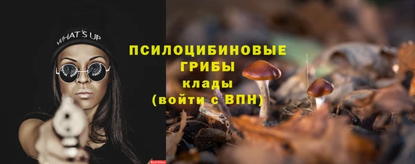 индика Гусь-Хрустальный