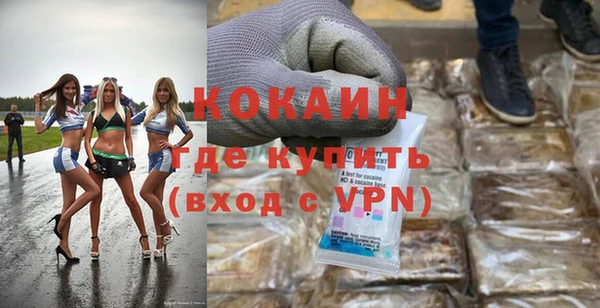 индика Гусь-Хрустальный