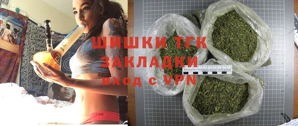 индика Гусь-Хрустальный