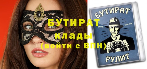 индика Гусь-Хрустальный