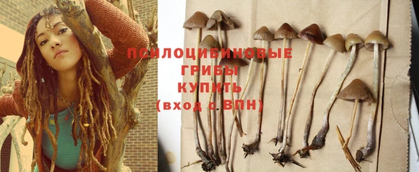 индика Гусь-Хрустальный