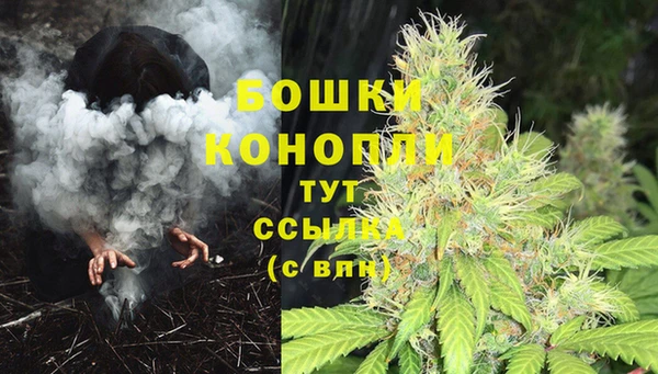 индика Гусь-Хрустальный