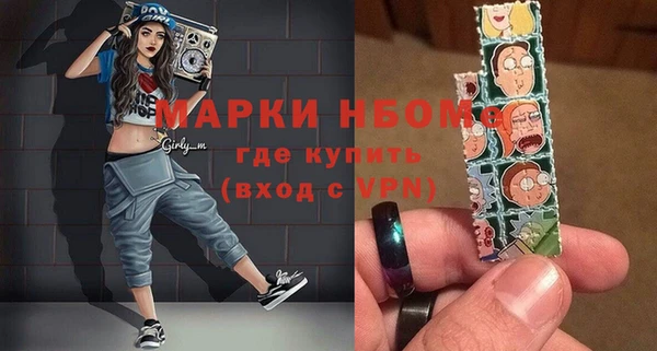 индика Гусь-Хрустальный