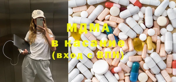 индика Гусь-Хрустальный