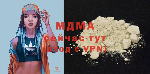 индика Гусь-Хрустальный