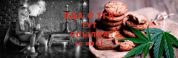 индика Гусь-Хрустальный